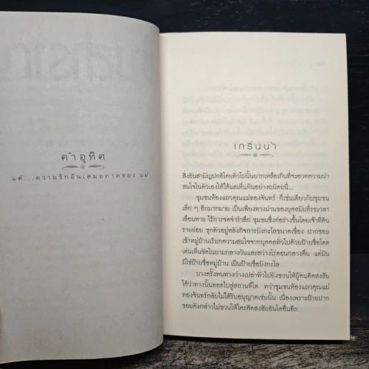 ช่างสำราญ - เดือนวาด พิมวนา รูปที่ 7