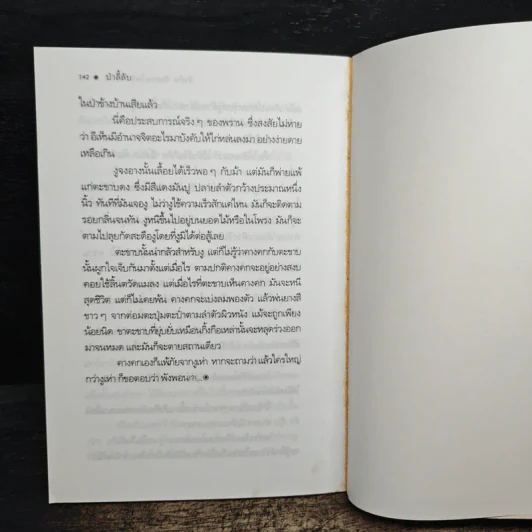 เฒ่าภูเขา - สังคีต จันทนะโพธิ รูปที่ 8