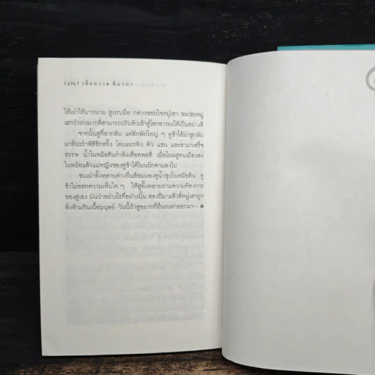 แดดสิบแปดนาฬิกา - เดือนวาด พิมวนา รูปที่ 9