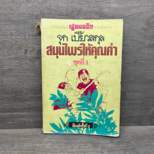 สมุนไพรให้คุณค่า ชุดที่ 1 - จุก เบี้ยวสกุล รูปที่ 1