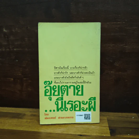 อุ๊ยตาย...นี่เรอะผี - พัฒนพงศ์ พ่วงลาภหลาย รูปที่ 2