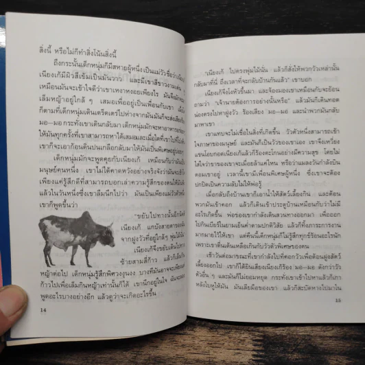 นิทานจากทุ่งกว้างแอฟริกา - แอนน์ แก็ตติ รูปที่ 8