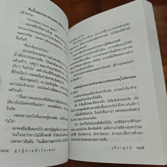 ลูกผู้ชายหัวใจเพชร - รุจิกาญจน์ รูปที่ 8