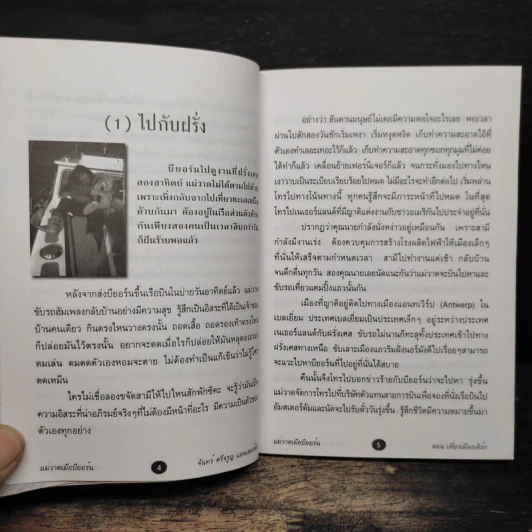 แม่วาดเมียบียอร์น ตอนเที่ยวเมืองเติร์ก - จันทร์ ศรีจรูญ แอนเดอร์สัน รูปที่ 7