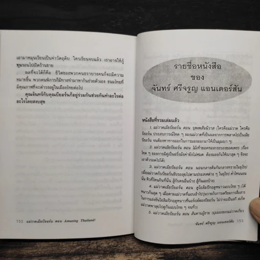 แม่วาดเมียบียอร์น ตอน Amazing Thailand - จันทร์ ศรีจรูญ แอนเดอร์สัน รูปที่ 9
