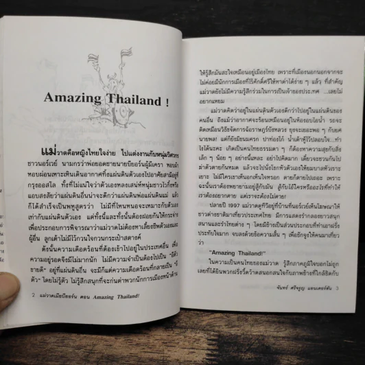 แม่วาดเมียบียอร์น ตอน Amazing Thailand - จันทร์ ศรีจรูญ แอนเดอร์สัน รูปที่ 8