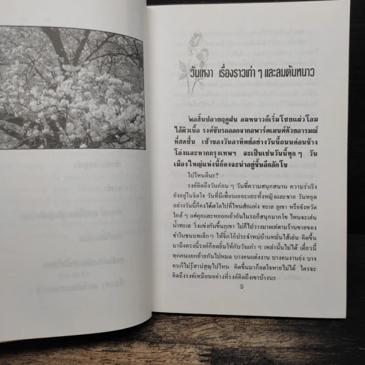 ฤดูดอกไม้ร่วง - กรองแก้ว รูปที่ 8