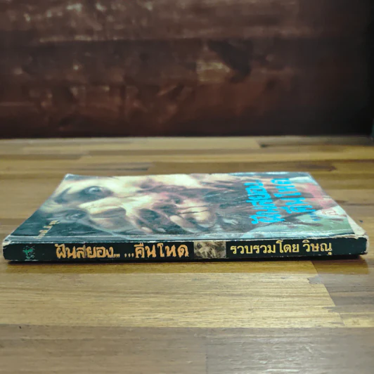 ฝันสยอง คืนโหด - วิษณุ รูปที่ 3