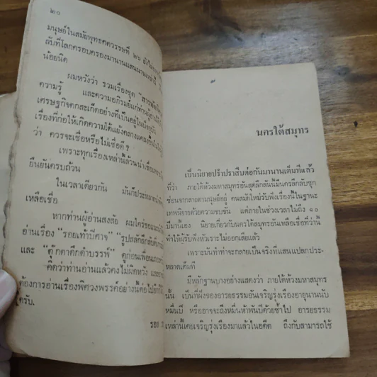 สารพัดพิศวง - รอย ราชญี รูปที่ 8