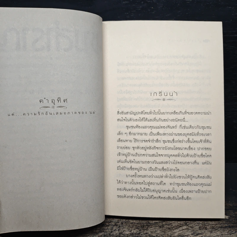 ช่างสำราญ - เดือนวาด พิมวนา รูปที่ 7