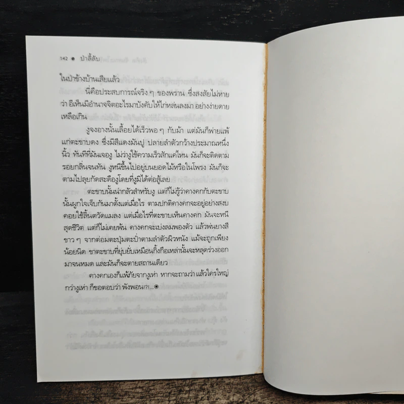 เฒ่าภูเขา - สังคีต จันทนะโพธิ รูปที่ 8