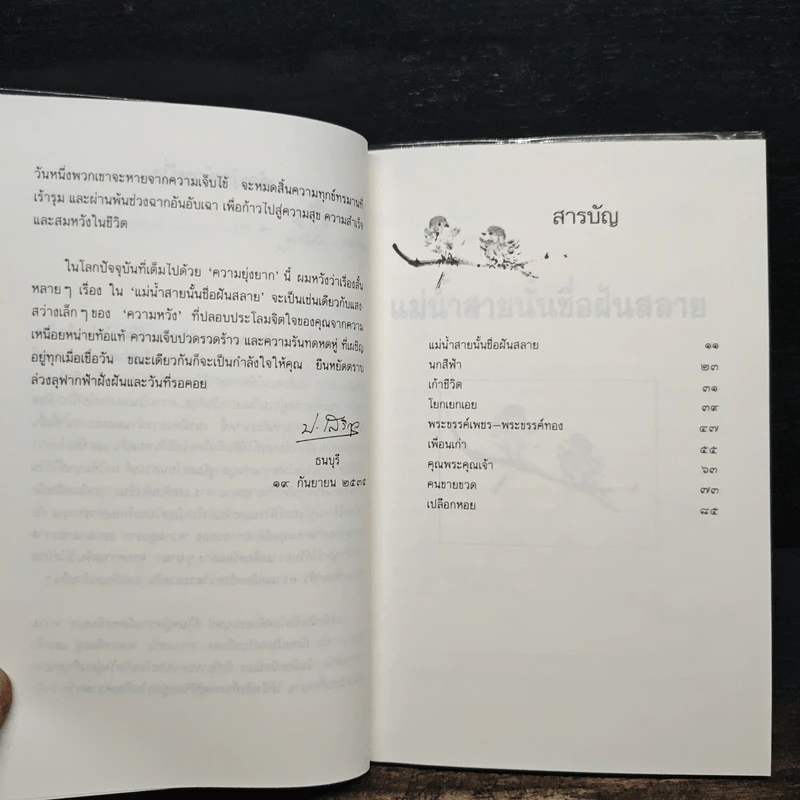 แม่น้ำสายนั้นชื่อฝันสลาย - ประภัสสร เสวิกุล รูปที่ 7