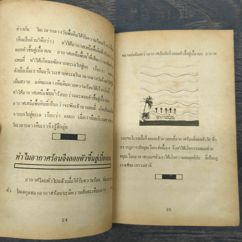 เกร็ดวิทยาศาสตร์น่ารู้ - ทรงวุฒิ สุธาอรรถ รูปที่ 8