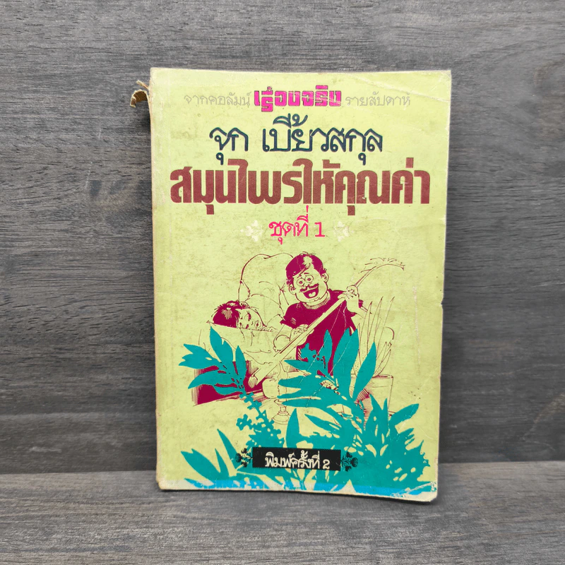 สมุนไพรให้คุณค่า ชุดที่ 1 - จุก เบี้ยวสกุล รูปที่ 1