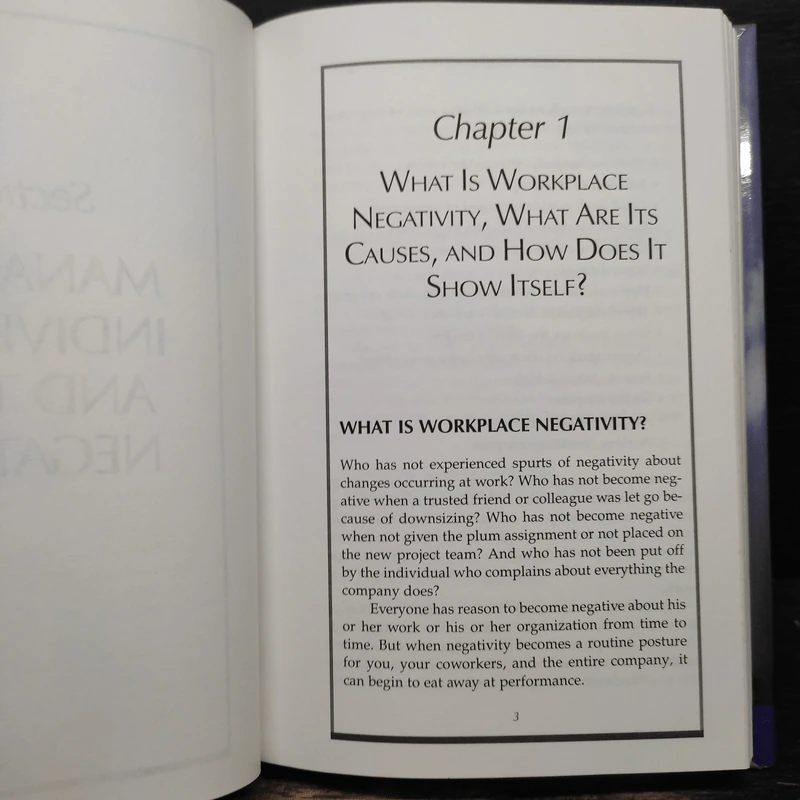 Managing Workplace Negativity - Gary S. Topchik รูปที่ 8