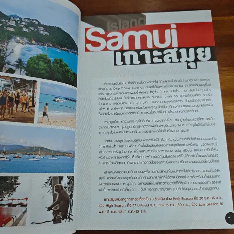 หรรษา 5 เกาะ สวรรค์ทะเลใต้ รูปที่ 10