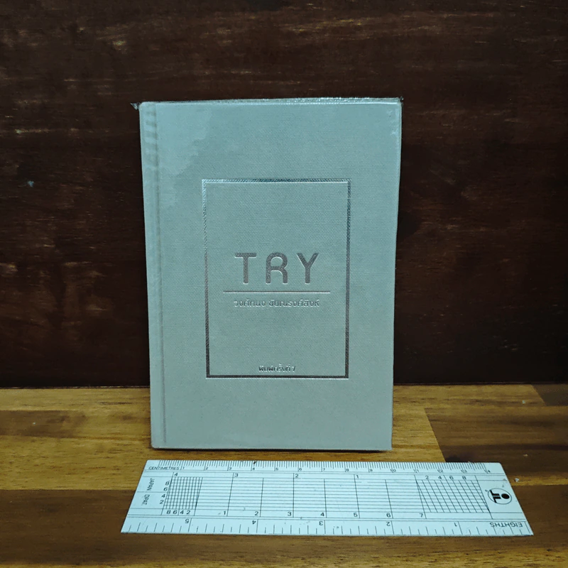 Try - วงศ์ทนง ชัยณรงค์สิงห์ รูปที่ 1