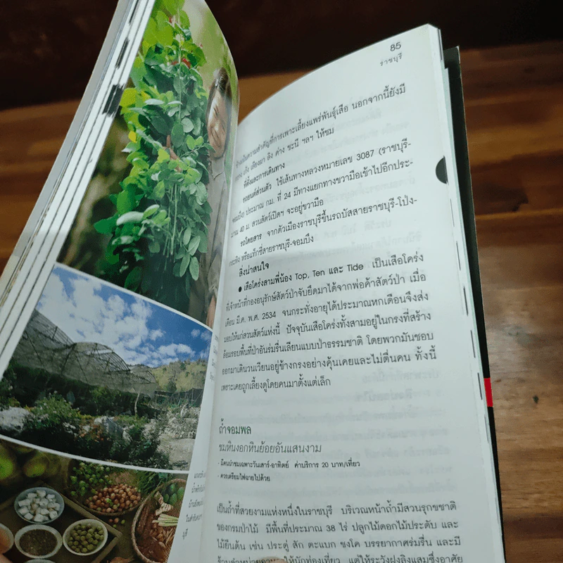 ราชบุรี เที่ยวทั่วไทยไปกับนายรอบรู้ รูปที่ 9