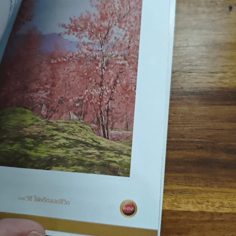 38 วิธี โชคดีตลอดชีวิต The Supreme Auspices in Life - ว.วชิรเมธี รูปที่ 12