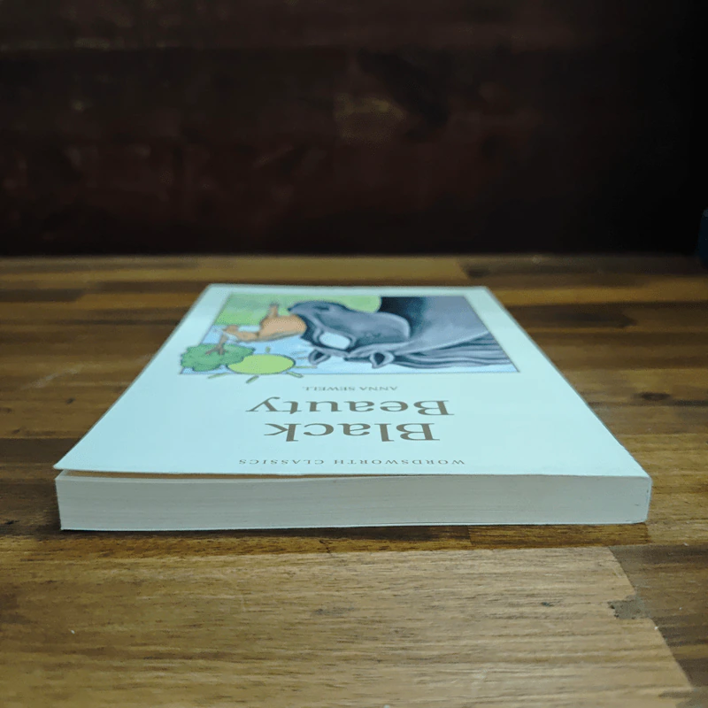Black Beauty - Anna Sewell รูปที่ 5