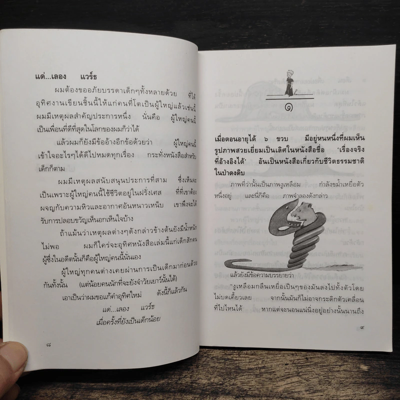 เจ้าชายน้อย - พงาพันธุ์ รูปที่ 7