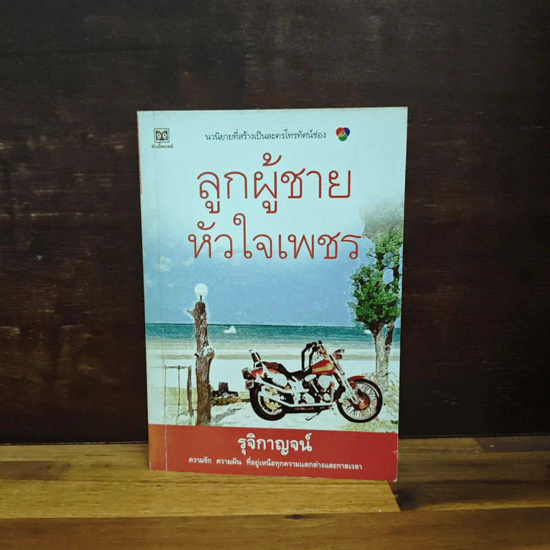 ลูกผู้ชายหัวใจเพชร - รุจิกาญจน์ รูปที่ 1