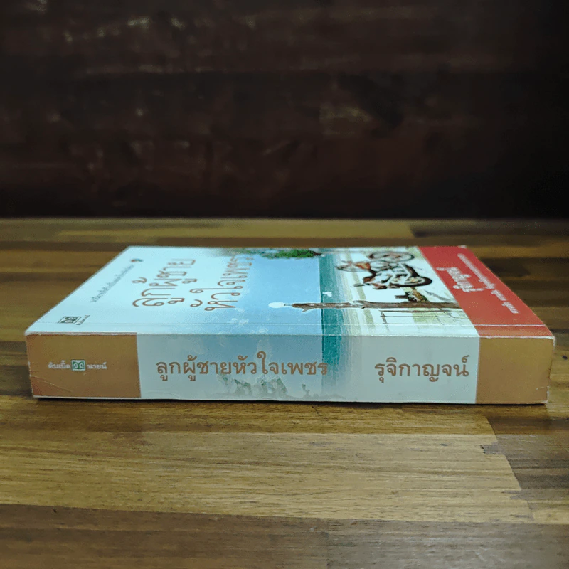ลูกผู้ชายหัวใจเพชร - รุจิกาญจน์ รูปที่ 3