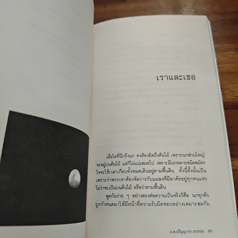 มิตรภาพต่างสายพันธุ์ - ม.ล.ปริญญากร วรวรรณ รูปที่ 8