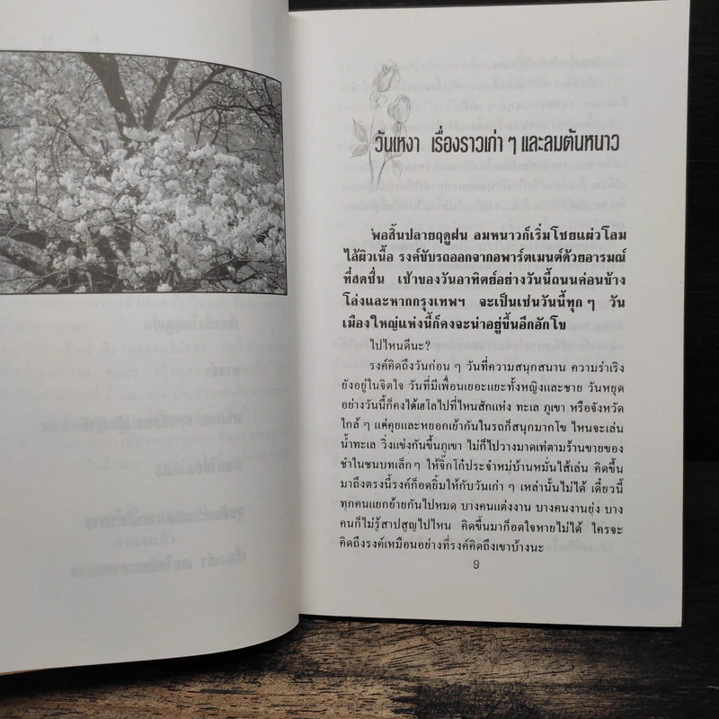 ฤดูดอกไม้ร่วง - กรองแก้ว รูปที่ 8
