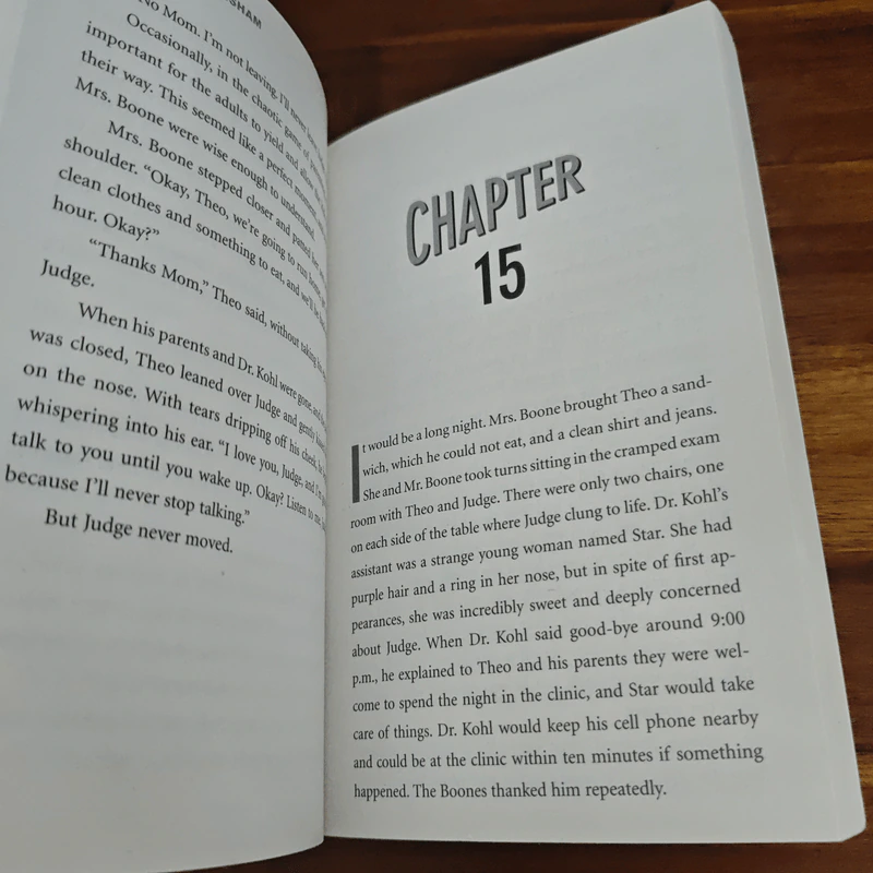 Theodore Boone The Activist - John Grisham รูปที่ 9