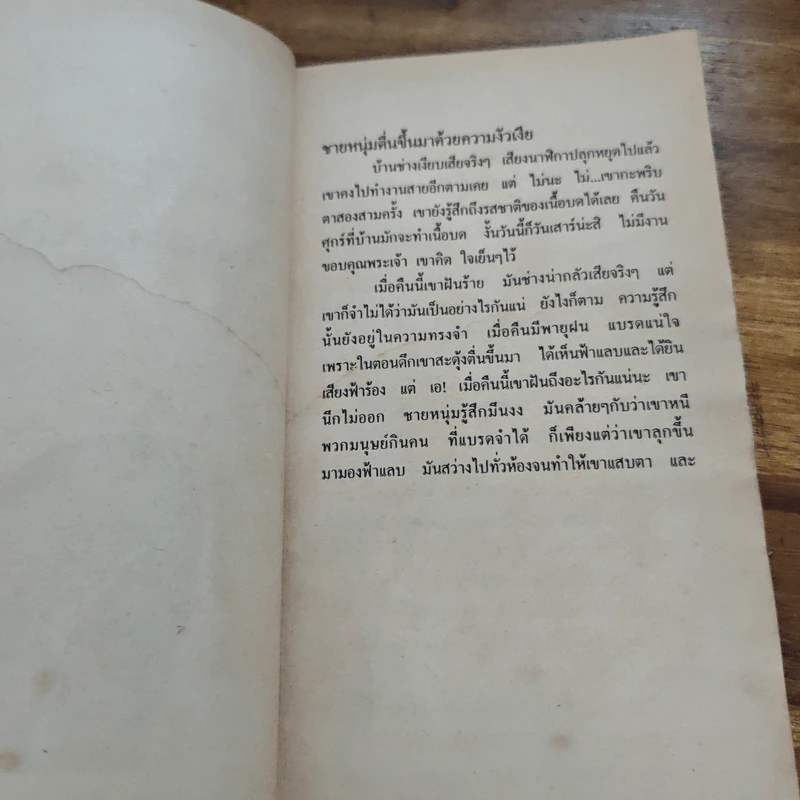 ฝันสยอง คืนโหด - วิษณุ รูปที่ 7