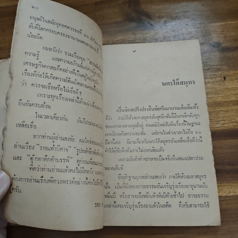 สารพัดพิศวง - รอย ราชญี รูปที่ 8