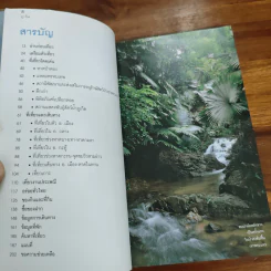 เที่ยวทั่วไทยไปกับนายรอบรู้ ภูเก็ต รูปที่ 8