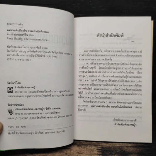 แม่วาดเมียบียอร์น ตอน กำเนิดตัวละคร - จันทร์ ศรีจรูญ แอนเดอร์สัน รูปที่ 6