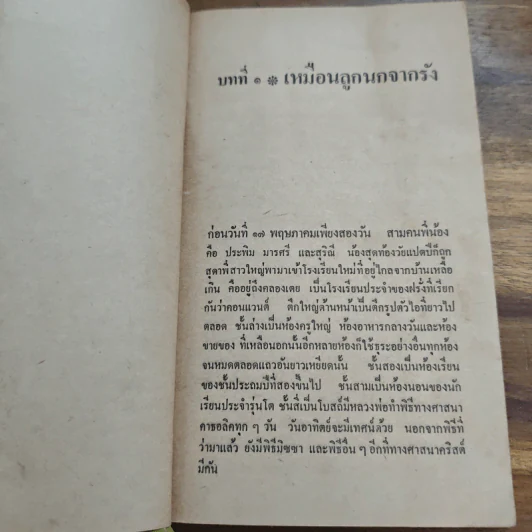 วัยหวานคอนแวนต์ - สุพรรณิการ์ รูปที่ 7