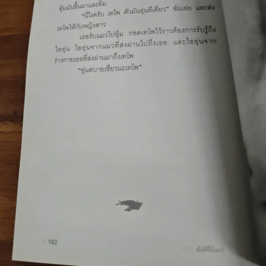 ยังดีที่มีแมว - วุฐิศานติ์ จันทร์วิบูล รูปที่ 10