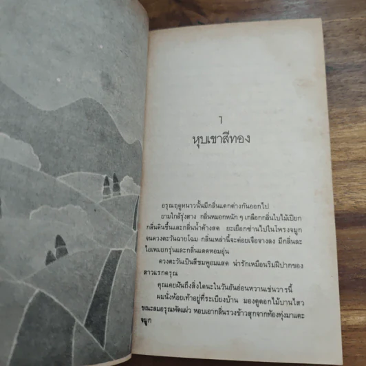 วันเวลาแสนงาม - พิบูลศักดิ์ ละครพล รูปที่ 8