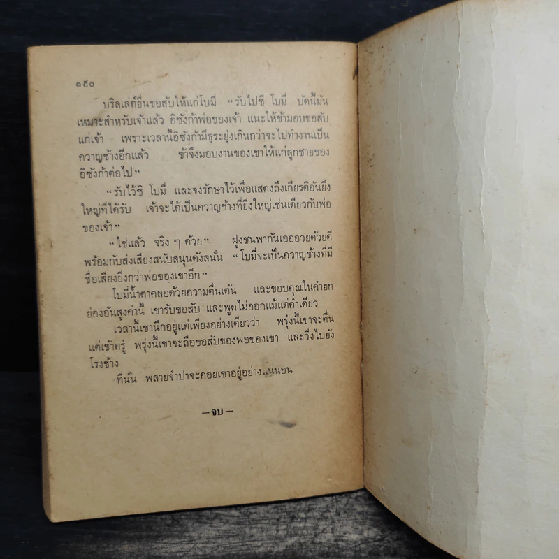 พลายจำปา - ลมุล รัตตากร รูปที่ 9