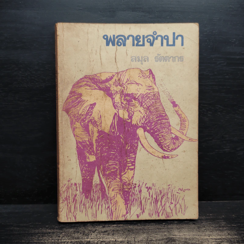 พลายจำปา - ลมุล รัตตากร รูปที่ 1