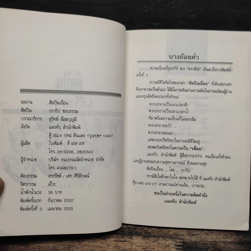 ศิลปินเถื่อน - ธราธิป รูปที่ 6