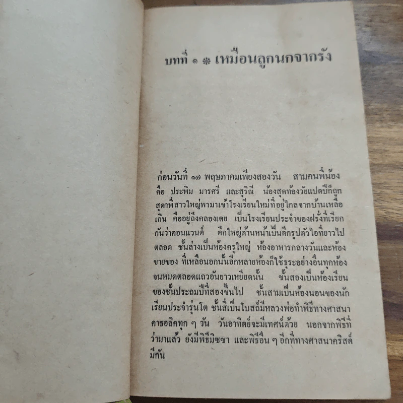 วัยหวานคอนแวนต์ - สุพรรณิการ์ รูปที่ 7