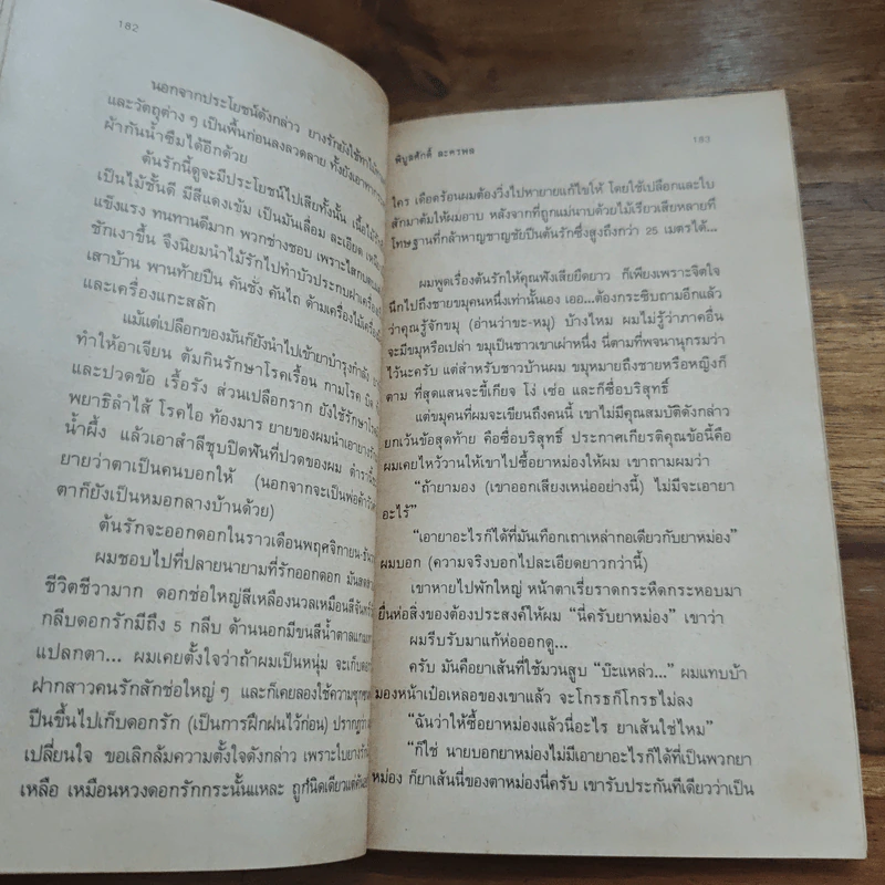 วันที่รุ้งทอสาย - พิบูลศักดิ์ ละครพล รูปที่ 8