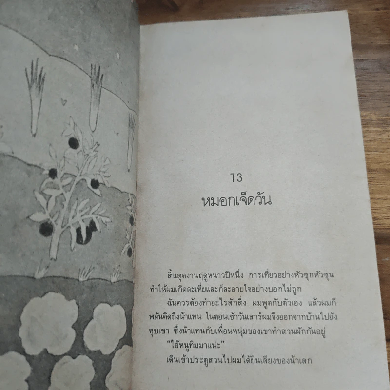 วันที่รุ้งทอสาย - พิบูลศักดิ์ ละครพล รูปที่ 7