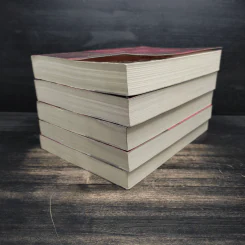 Boxset นิยายชุด มาเฟียเลือดมังกร 5 เล่ม ได้แก่ เสือ สิงห์ กระทิง แรด หงส์ - รพัด, ลิซ รูปที่ 3