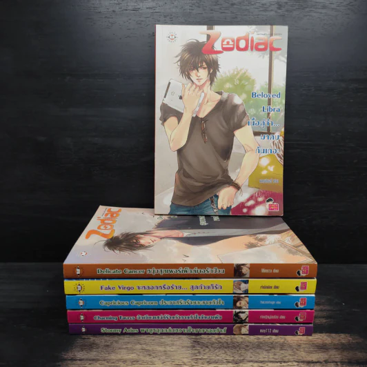 Box Set Prince of Zodiac So Hot 6 เล่ม รูปที่ 4