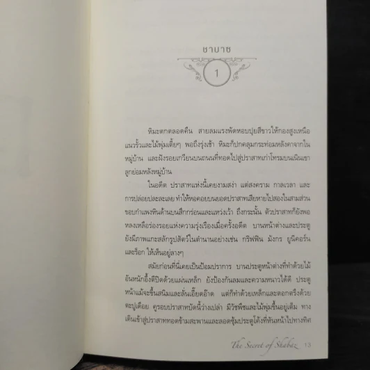 The Secret of Shabaz : ทาเนียเจ้าหญิงไร้บัลลังก์ - เจนนิเฟอร์ มาแคร์ รูปที่ 8