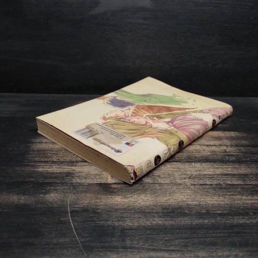 ฮิคารุเซียนโกะ เล่ม 19 รูปที่ 4