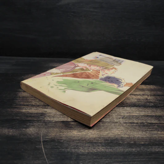 ฮิคารุเซียนโกะ เล่ม 19 รูปที่ 3