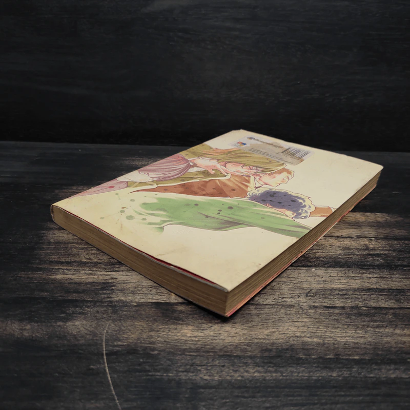 ฮิคารุเซียนโกะ เล่ม 19 รูปที่ 3