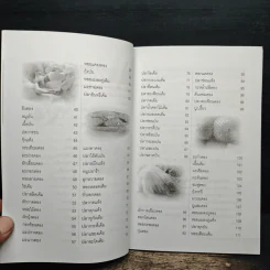 สูตรถนอมอาหาร 100 ชนิด - พิมพ์ชนก เพียรประดิษฐ์ รูปที่ 8